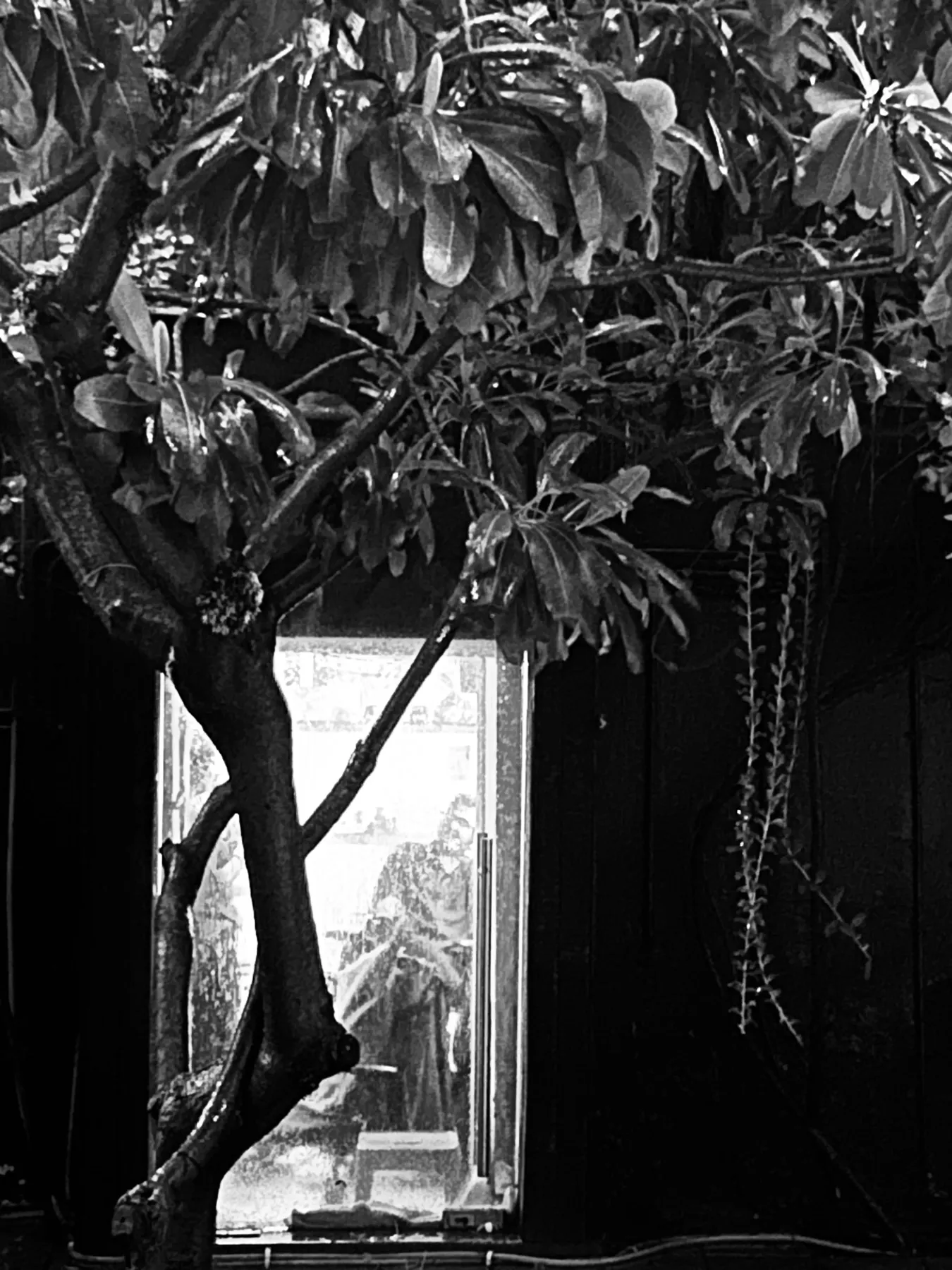 TDV from my eyes. Personal photography by Harris George Stephen, frame 66