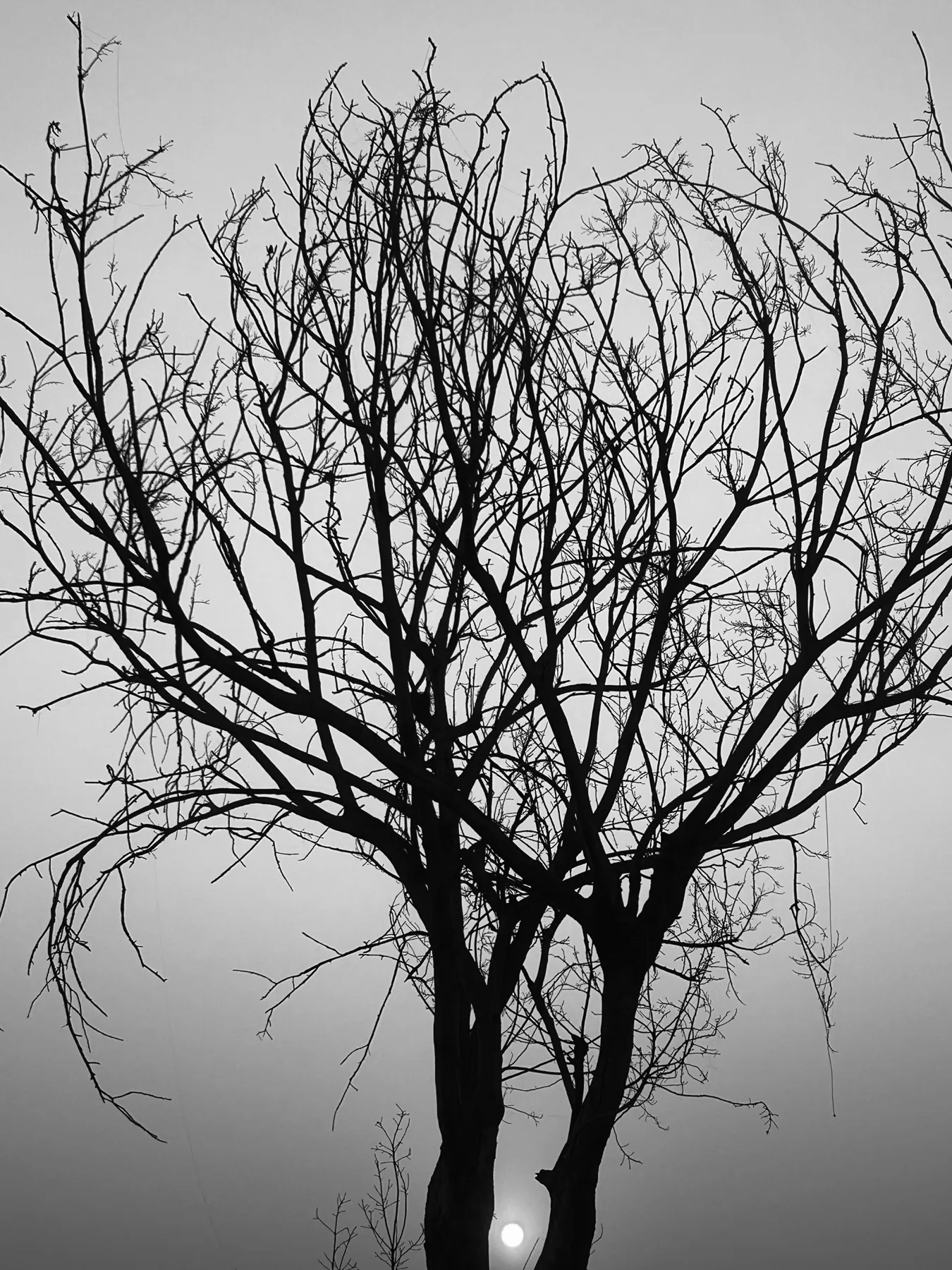 Documented life. Personal photography by Harris George Stephen, frame 28