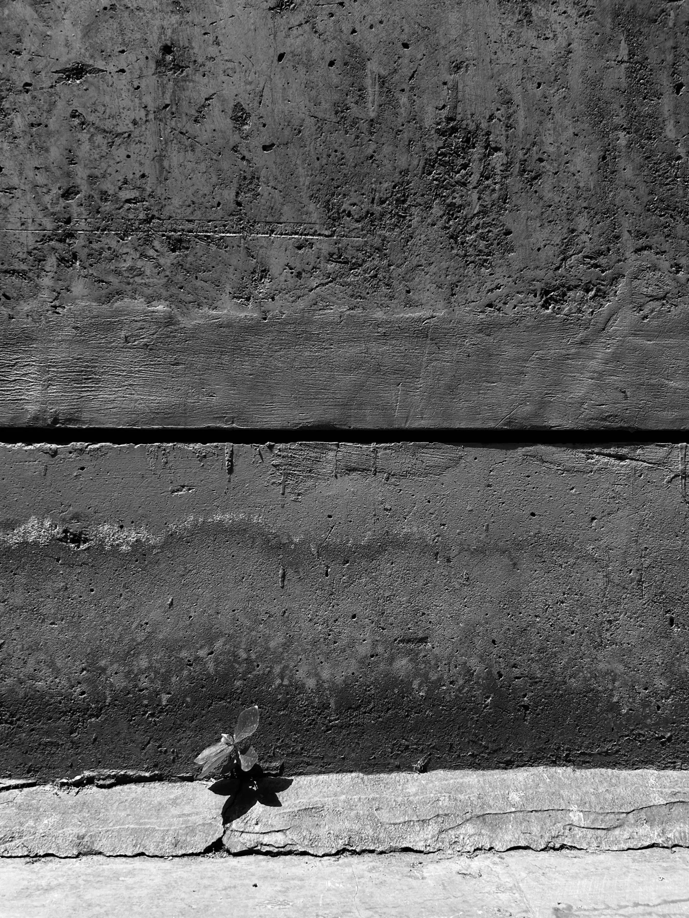 Documented life. Personal photography by Harris George Stephen, frame 48